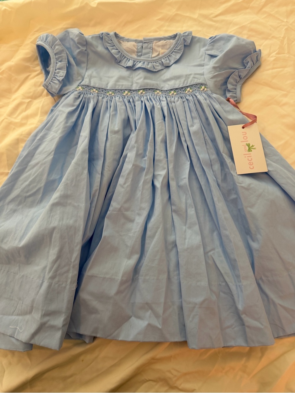 NWT Cecil and Lou Light Blue Smocked Baby Dress